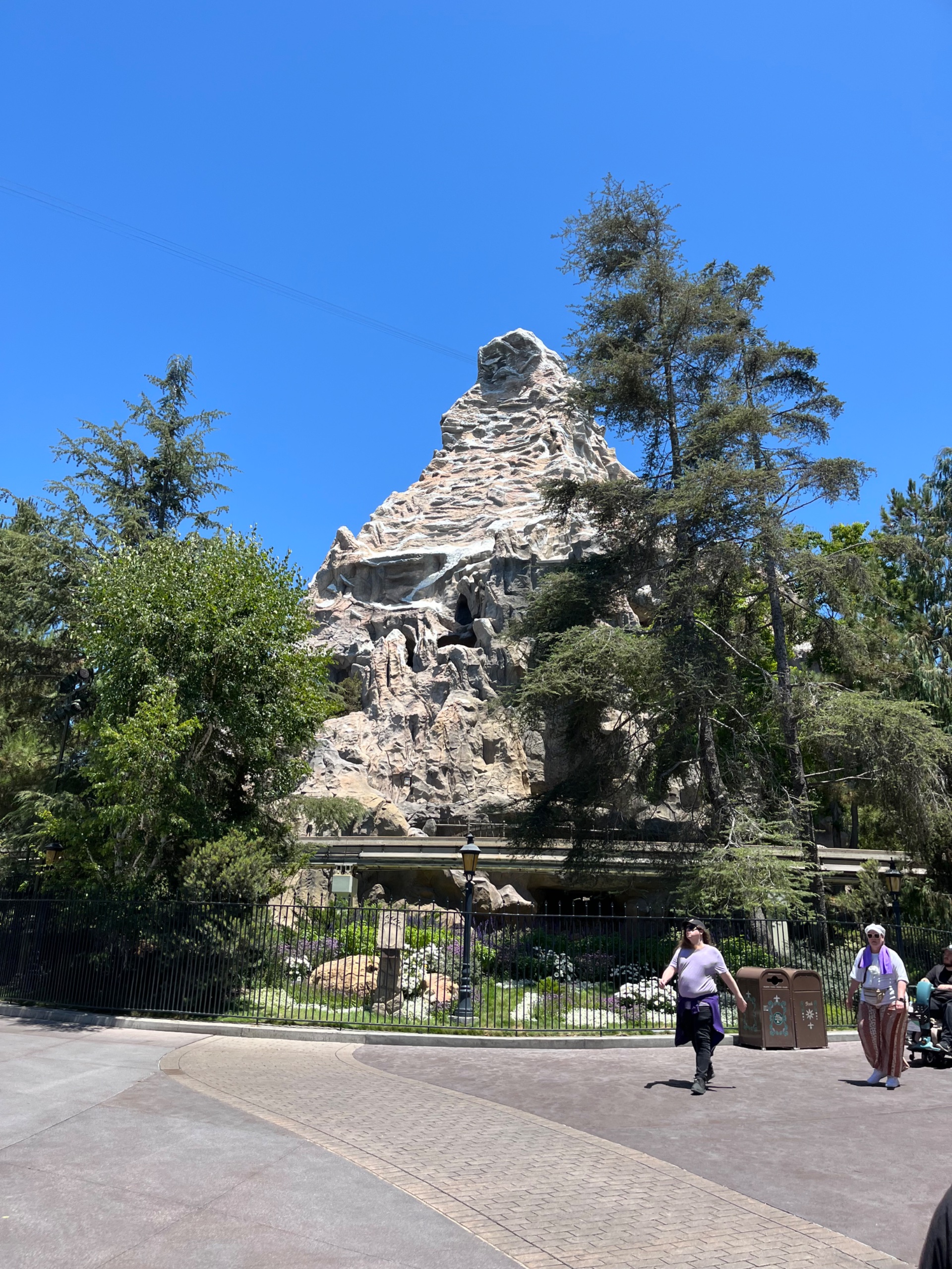 IMG_9915.jpeg