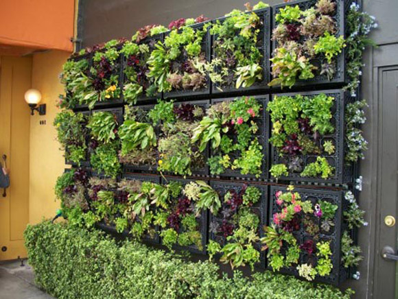 Indoor-Vertical-Vegetable-Garden.jpg