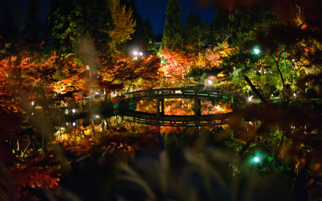 japanese-garden-at-night.jpg