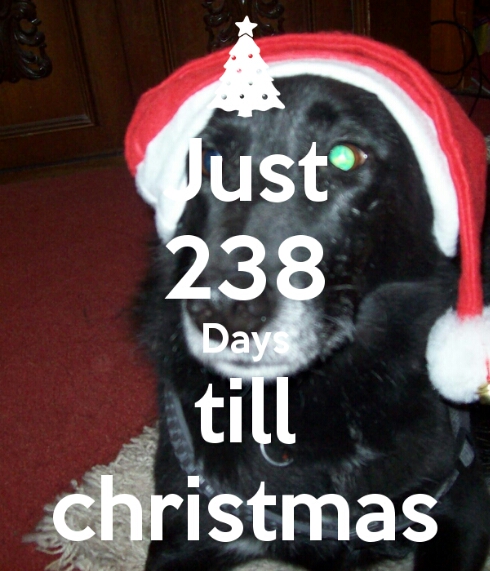 just-238-days-till-christmas.jpg