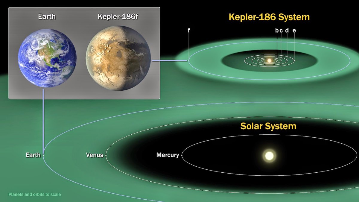 Kepler-186f.jpeg