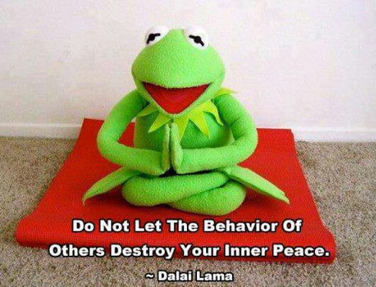 kermit-the-frog-dalai-lama-quote.jpg