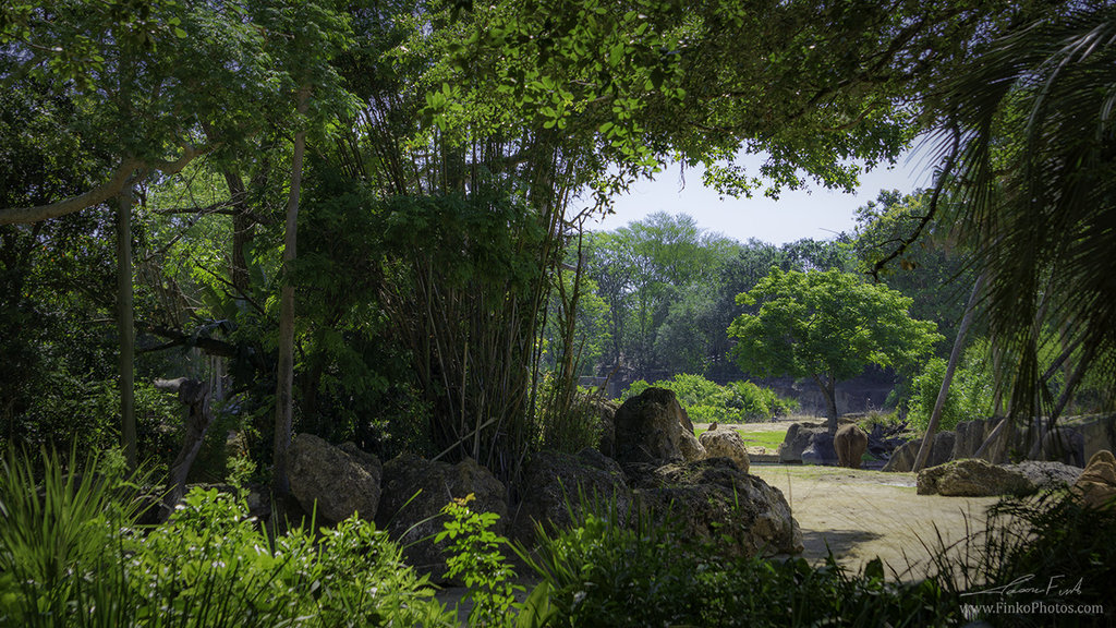 Kilimanjaro Safari Landscape low res.jpg