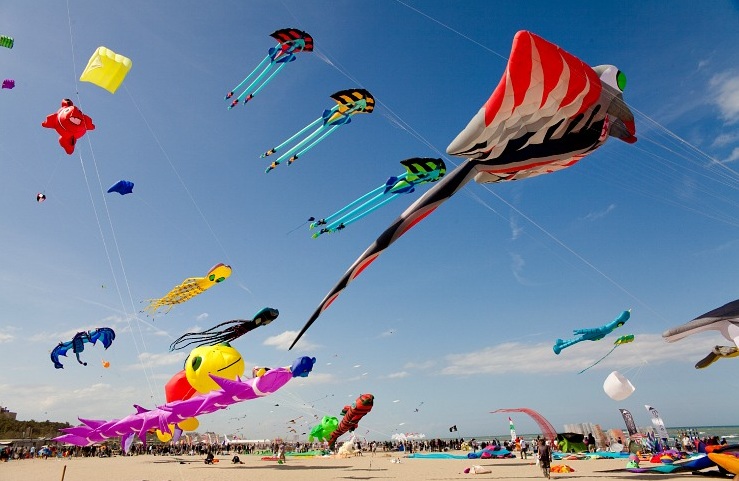 kite-jpg.539251