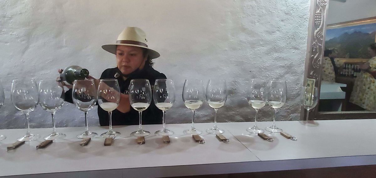 LA Cetto Wine Tasting.jpg