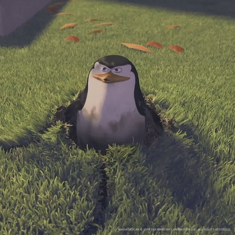 madagascar escape.gif