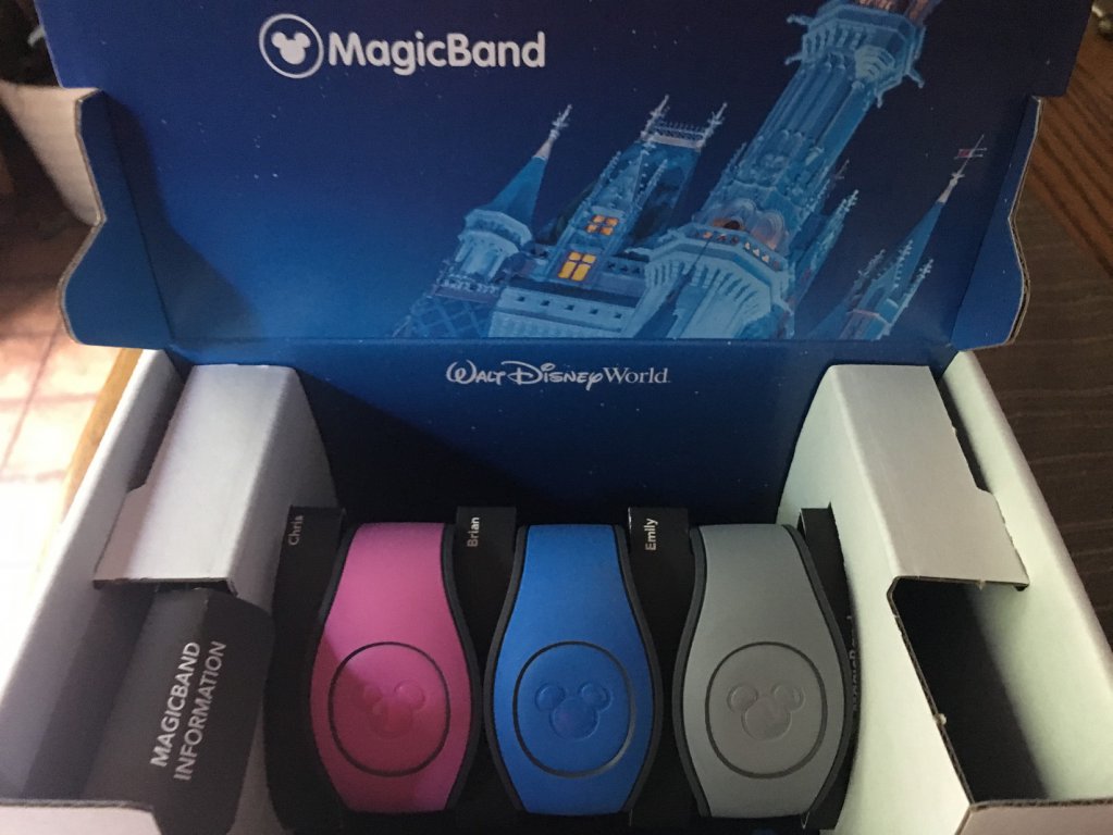 Magic Bands.jpg