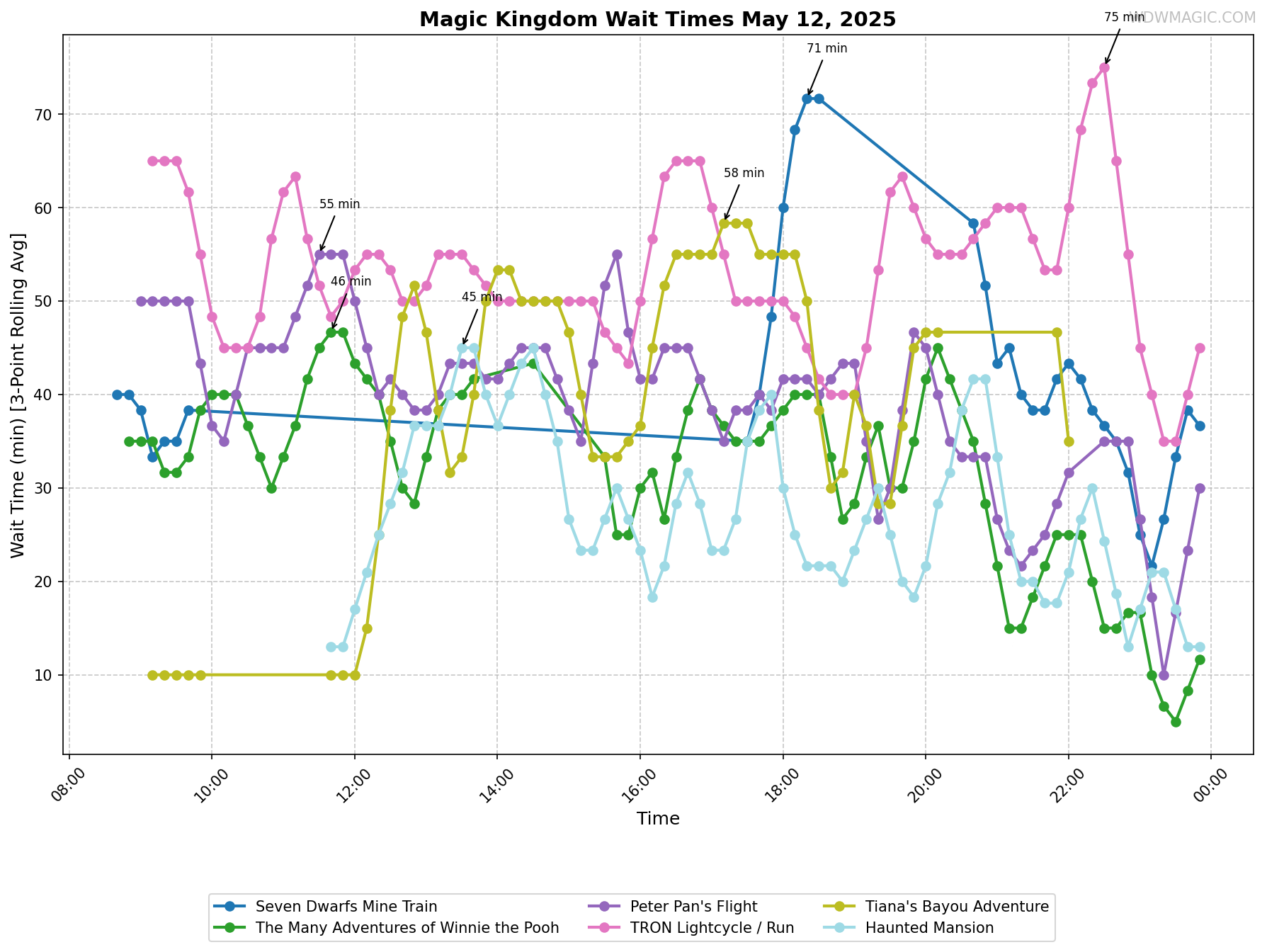Magic_Kingdom_wait_times.png