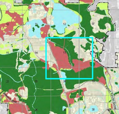 Maps-of-the-Reedy-Creek-2010-2020-Plan-WDWMAGIC-Unofficial-Walt-Disney-World-discussion-forums.jpeg