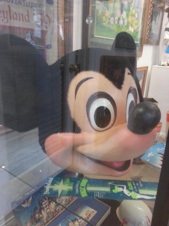 mickeyhead5.jpg