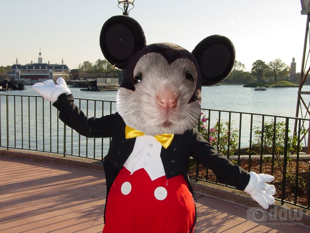 MickeyRat.jpg