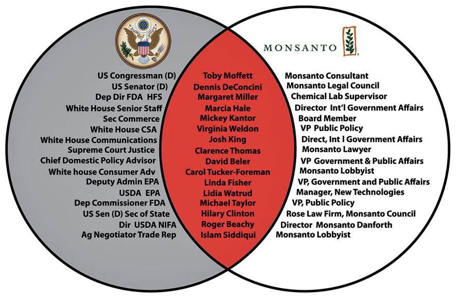 monsanto_fondo_aux.jpg