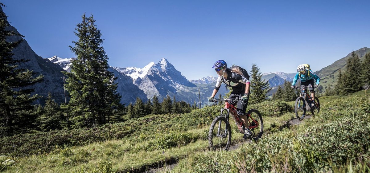 mountainbiketouren-1920x900.jpg