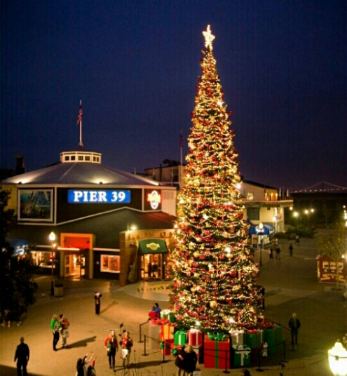 Pier-39-Christmas-Tree-Lighting-1(1).jpg