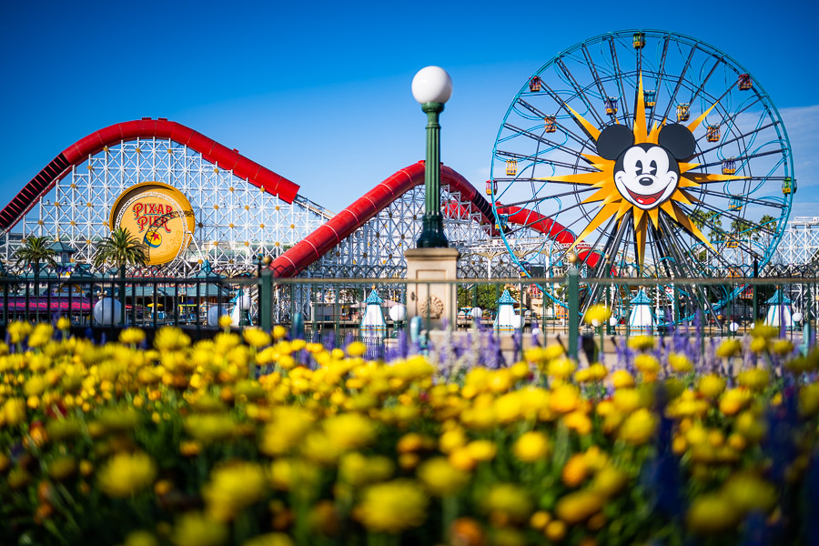 pixar-pier-rope-drop-early-entry-disney-california-adventure-disnelyand-resort-294.jpeg