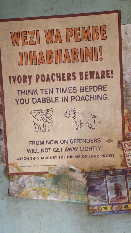 Poachers.jpg