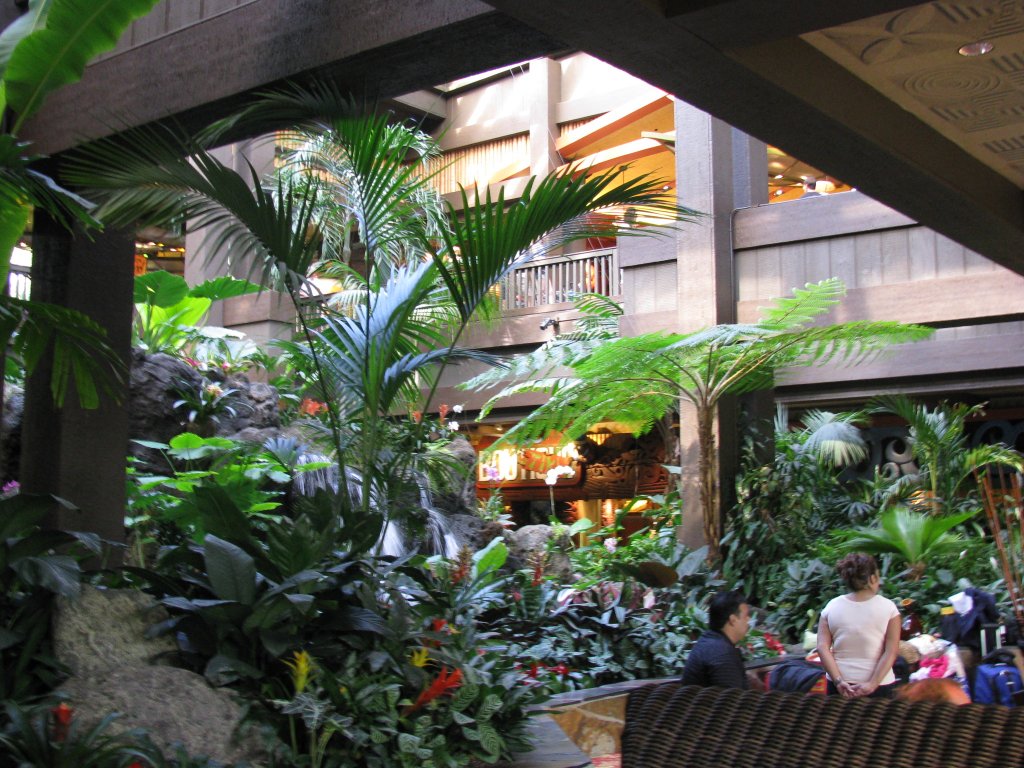 Poly indoor water feature 2008 from first floor rear.JPG