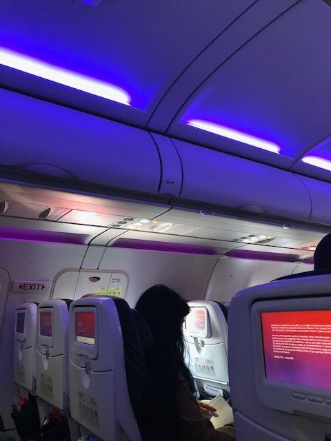 Purple party plane.jpg