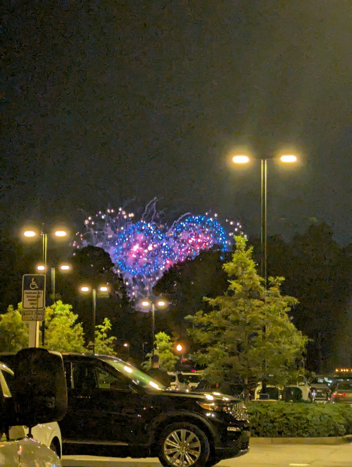 PXL_20250705_012651233.jpg