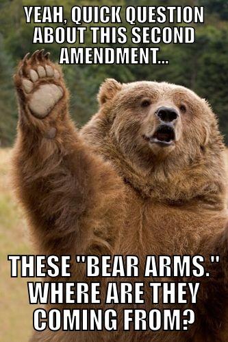 quick-question-bear-arms.jpg