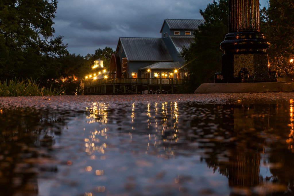 Reflections_at_the_Riverside.jpg