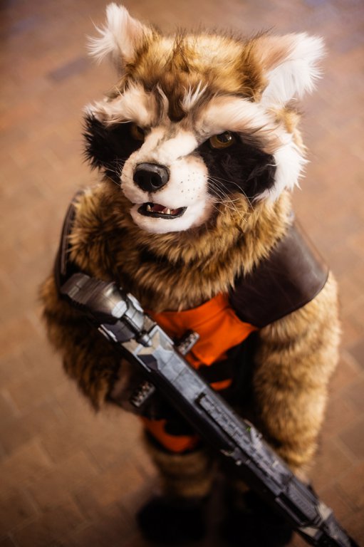 rocket_raccoon_by_stillreflection-d7pzn0v.jpg