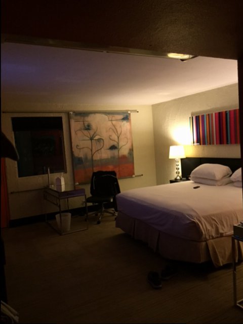 Room 2.JPG