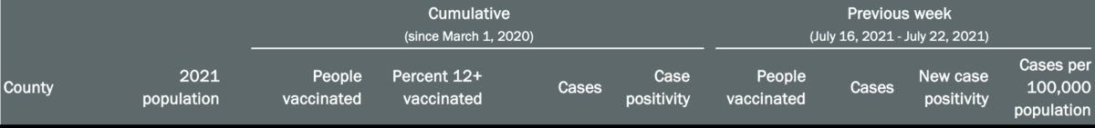 Screen Shot 2021-07-30 at 3.28.06 PM.png