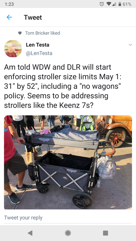 disney world wagon rules