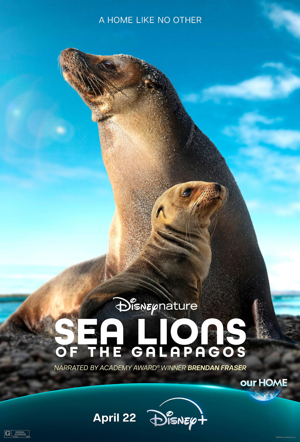 Sea Lions of the Galapagos.jpg