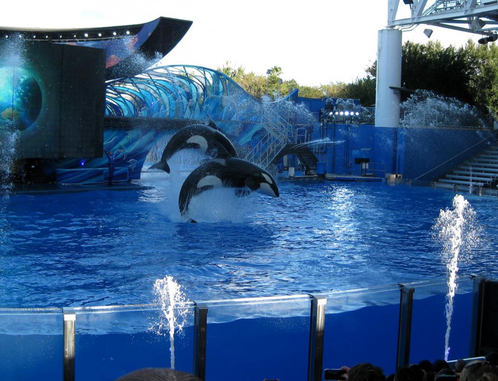 seaworld41.jpg