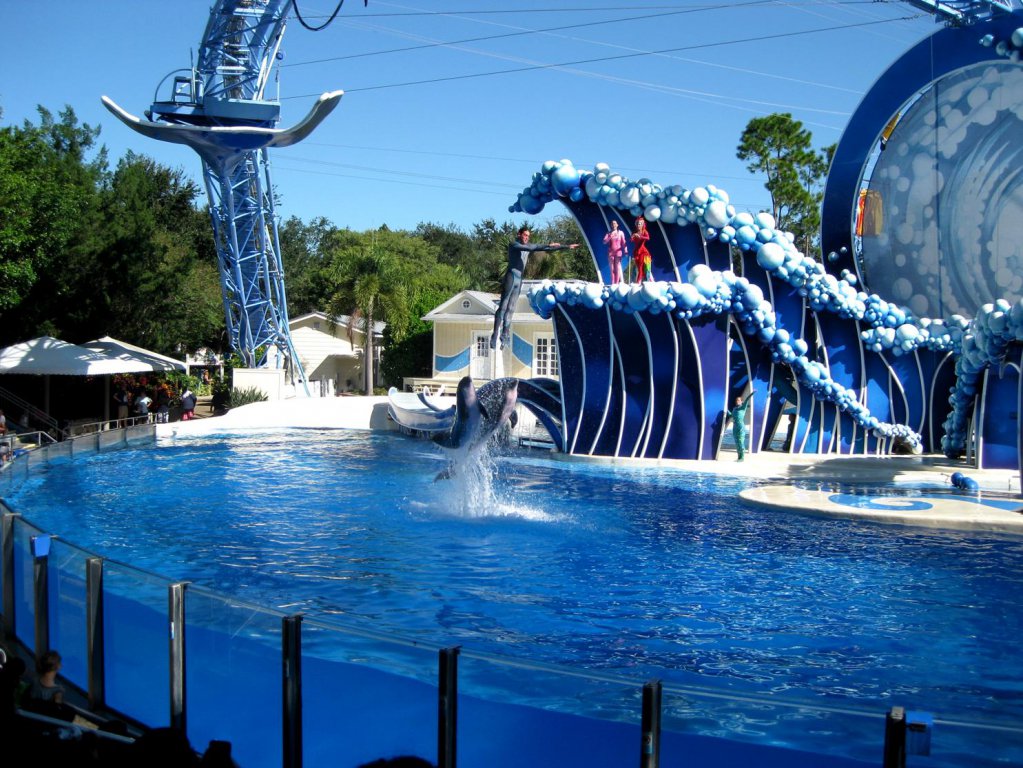 seaworld5.jpg