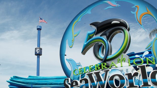 seaworldphoto_r620x349.jpg