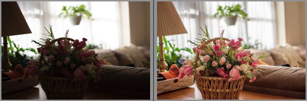 shadowrecoveryd7200.jpeg shadowrecoveryd7200.jpeg