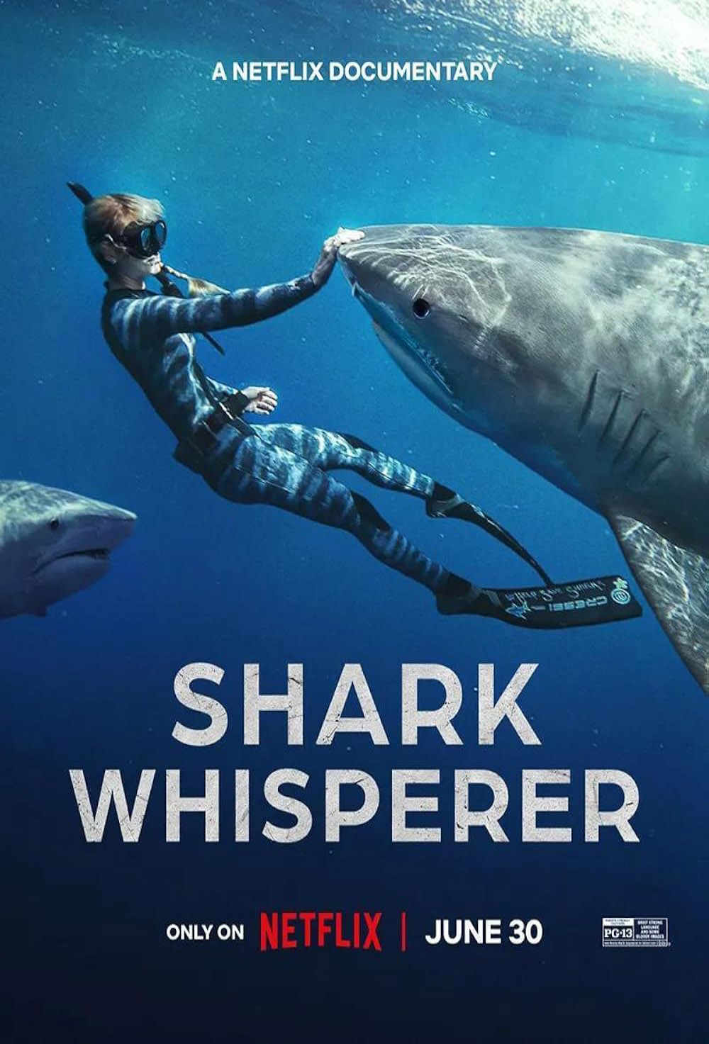 Shark Whisperer.jpg
