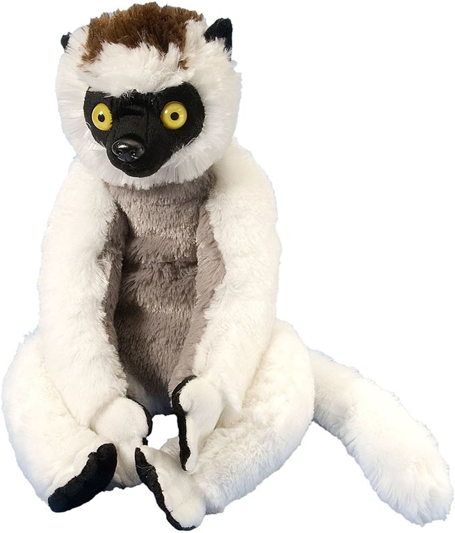 Sifaka.jpg