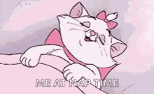 sleep-cat.gif