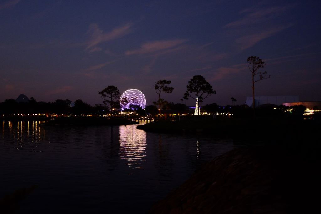 spaceship earth and tree at night dec 2024.JPG