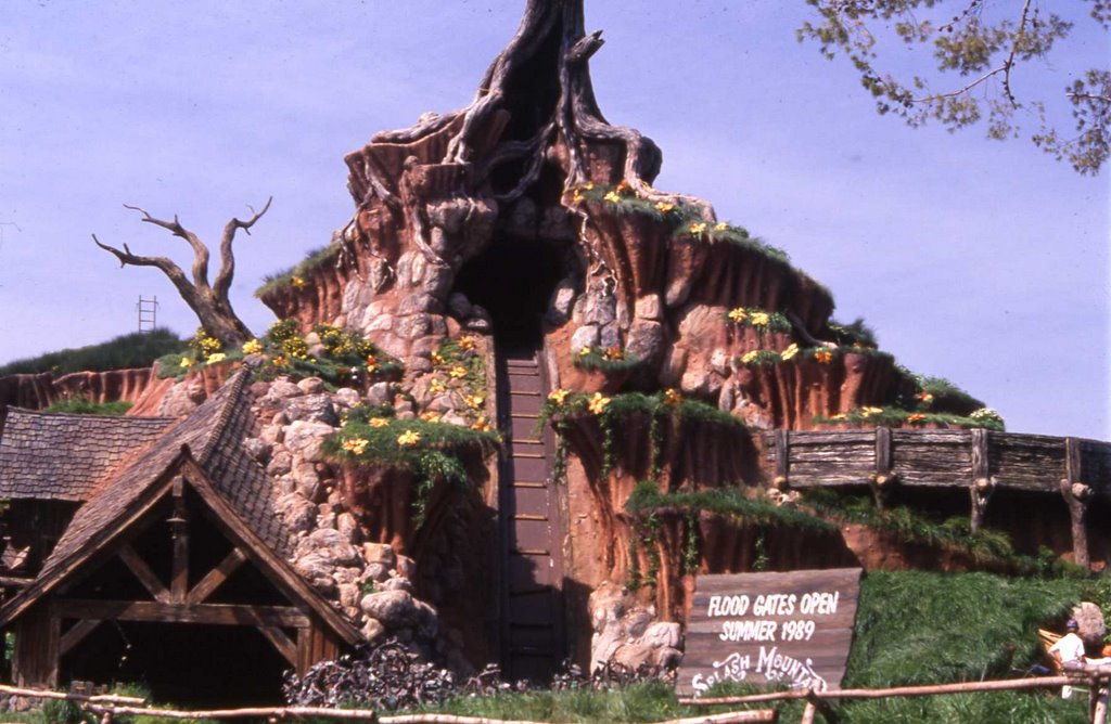 Splash Mountain 1989.jpg