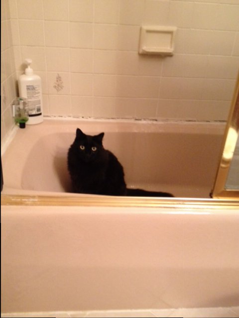 Spooky tub.JPG