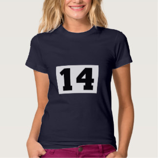 sports_number_14_t_shirts-rc1ea0982714445949466c92772a2e595_jf37u_324.jpg