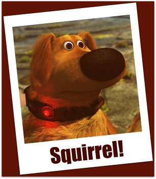 Squirrel_Dug.jpg