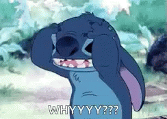 stitch why.gif