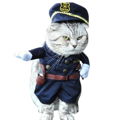 TEMP Cat police.jpg