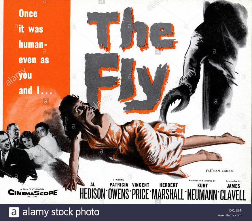 the-fly-us1958-DXJE84.jpg