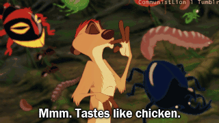 Timon eats chicken.gif