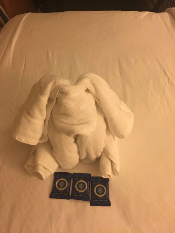 Towel Animal.jpg