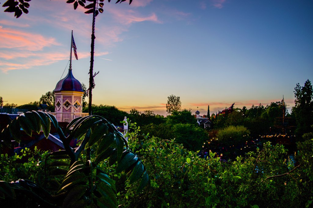 Treehouse_Sunset.jpg