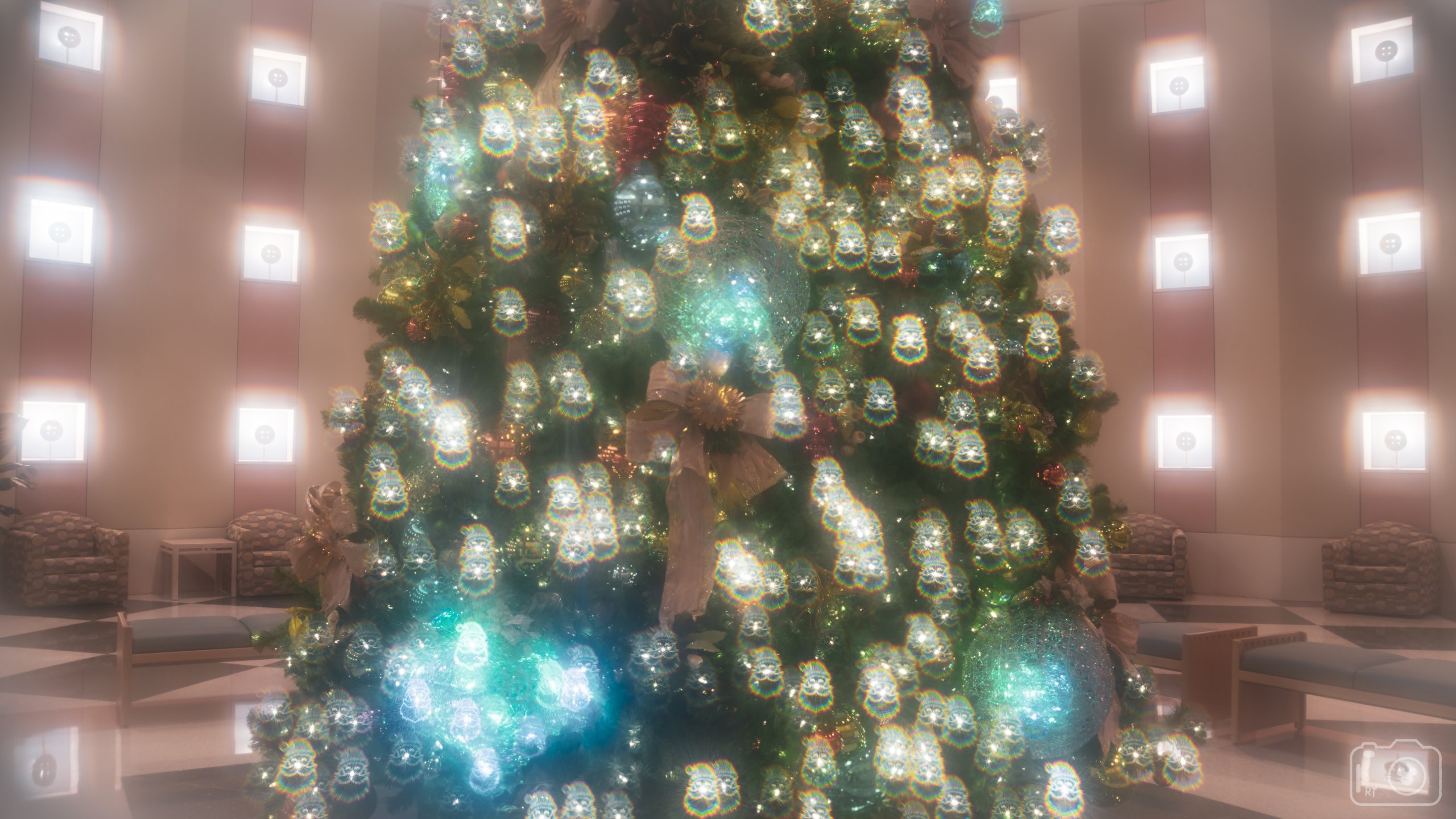 untitled shoot-702-2.jpeg