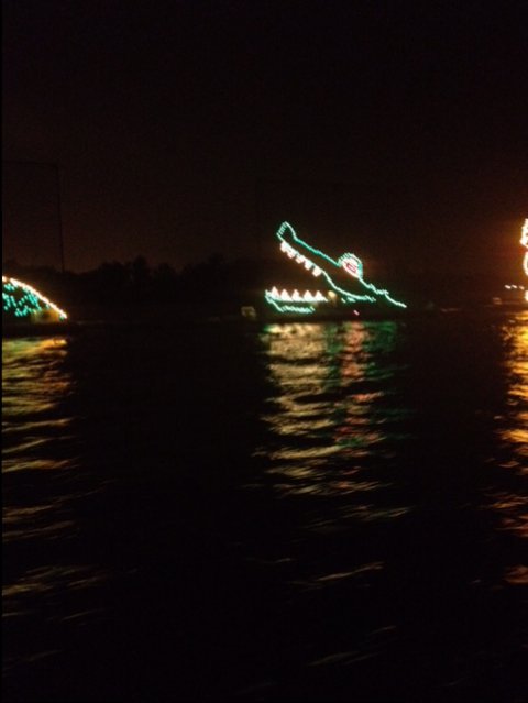 water parade alligators.JPG